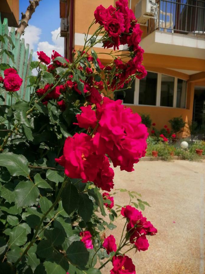 Vilele Liliana Năvodari Esterno foto